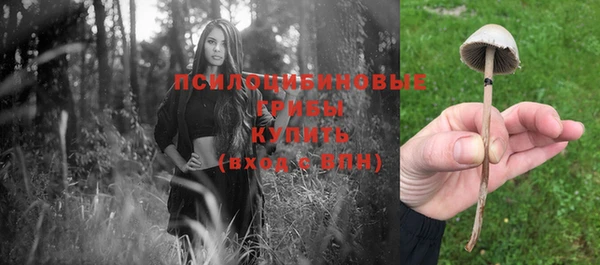 кокаин премиум Инсар